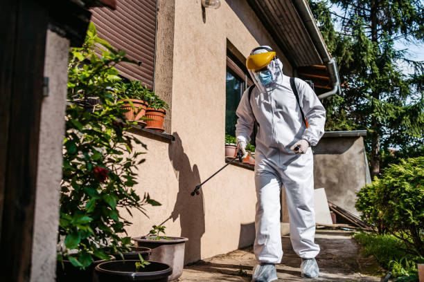 Best Termite Control Services  in Mabton, WA