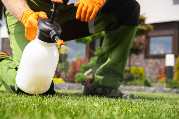 Best Exterminator Services  in Mabton, WA