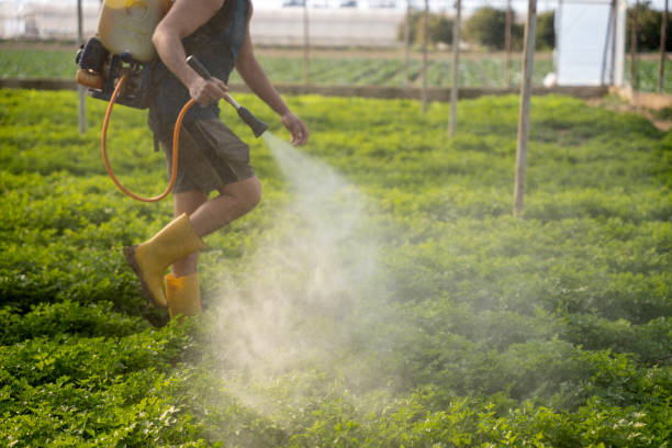 Pest Control Cost in Mabton, WA