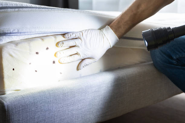 Best Cockroach Control Services  in Mabton, WA