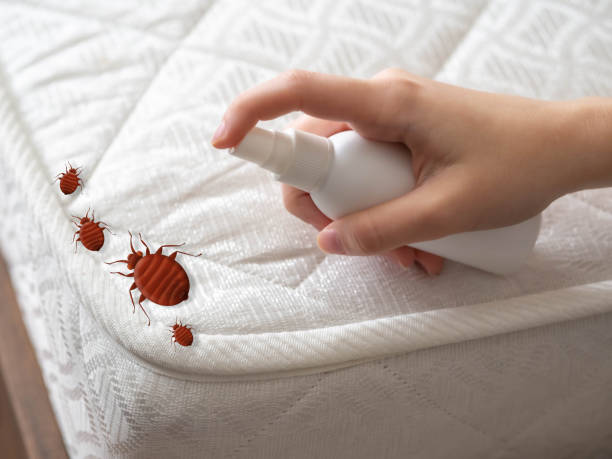 Best Pest Prevention Services  in Mabton, WA