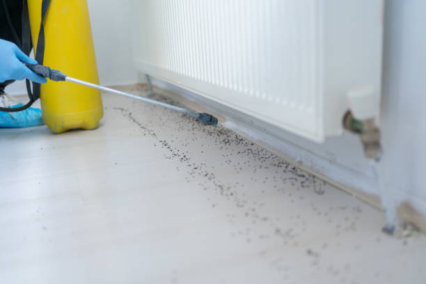 Insect Control in Mabton, WA